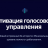Активация голосового управления - Пожизненно